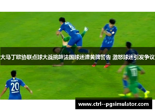大马丁欧协联点球大战挑衅法国球迷遭黄牌警告 激怒球迷引发争议