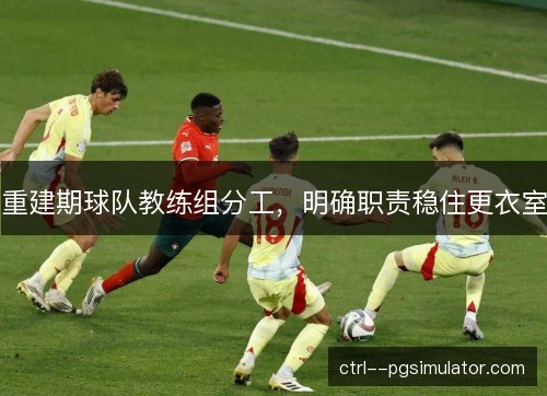 重建期球队教练组分工，明确职责稳住更衣室